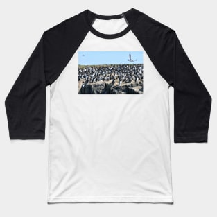 Guillemot flyby on the Farne Islands, Northumberland Baseball T-Shirt